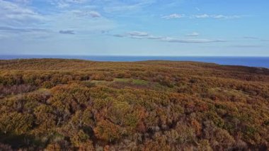 Bu hava sahnesinde, canlı sonbahar yaprakları sakin okyanusa doğru uzanan yuvarlanan tepeleri kaplar. Mavi gökyüzü sıcacık toprak tonlarıyla çok güzel zıtlaşıyor..