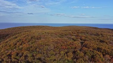 Parlak sonbahar yaprakları, açık bir gökyüzünün altında okyanusa bakan yuvarlanan tepeleri kaplar. Sahne, sakin bir öğleden sonra doğanın güzelliğini yakalar..