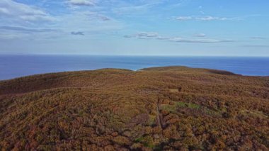 Bu hava manzarası, sonbahar renklerinde ağaçların canlı bir manzarasını yakalıyor. Yavaşça okyanusa iniyor, parlak mavi gökyüzünün altında doğal güzellikleri gösteriyor..
