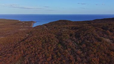 Uçsuz bucaksız mavi okyanusla buluşan engebeli bir kıyı şeridini görüntüler. Berrak bir gökyüzü altında yuvarlanan tepelerde canlı sonbahar yapraklarıyla çevrili..