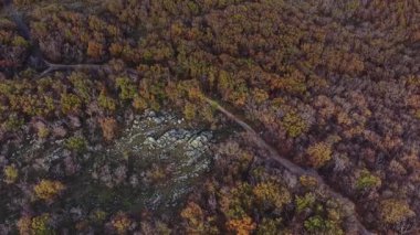 Bu hava manzarası renkli ağaçlarla dolu canlı bir sonbahar ormanını gösteriyor. Taştan yollar, sonbahar boyunca doğanın güzelliğini ön plana çıkaran arazide esiyor..