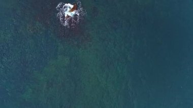 Dalgalar kayalık bir çıkıntıya çarparak derin mavi suya karşı beyaz köpük oluşturur. Denizin canlı renkleri çarpıcı bir su altı ortamı sergiliyor..