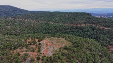 İnsanlar İspanya 'nın ormanlarında toprak patikalar boyunca yürür. Bölgede birçok ağaç ve tepeler var. Gökyüzü bulutlu, manzara yeşil ve doğal..