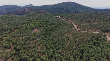 İnsanlar İspanya 'da açık bir gökyüzünün altındaki sık ormanlarda yürürler. Yol, uzak tepeleri gören yüksek ağaçların arasından geçiyor. Doğa çevreyi canlı yaşamla çevreler..
