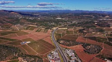 Sahne, İspanya 'nın dört bir yanına uzanan üzüm bağlarını gösteriyor. Tepeler ve dağlar mavi gökyüzünün altında yükselirken yollar tarlalardan geçer..