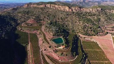 İspanya 'daki tepeler boyunca uzanan üzüm bağları düzenli sıra bitkilerle doludur. Dağlar açık bir gökyüzünün altında zemin oluştururken, küçük bir gölet ortada yer alır..