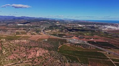 Manzara, İspanya 'da yeşil üzüm bağları ve arka planda dağlar bulunan kahverengi arazileri gösteriyor. Gün boyunca açık bir gökyüzünün altında deniz görülebilir..