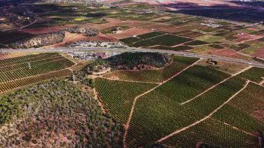 Üzüm bağları ve tarlalar İspanya 'nın dört bir yanına uzanıyor. Manzara, açık bir gökyüzünün altındaki yeşil ekinleri ve kahverengi toprağı gösteriyor. Farklı alanları birbirine bağlayan yollar görülebilir.