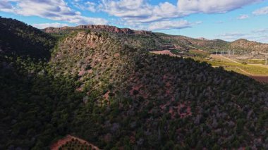 İspanya tepelerinde yeşil ağaçlar ve kahverengi toprak görülür. Güneş, arka planda doğa ve tarımın bir karışımını gösteren gölgeler yaratır..