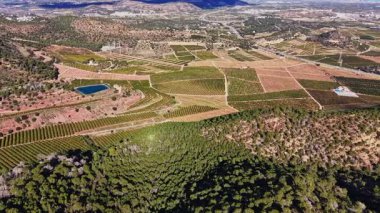 İspanya 'da asma tarlaları boyunca uzanıyor. Üzüm sıralarının arasında bir gölet görülebilir. Sahne, açık bir gökyüzünün altında tarım arazisi ve ağaçların karışımını gösteriyor..