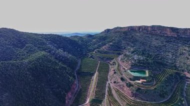 İspanya 'nın yuvarlanan tepelerindeki üzüm bağlarının manzarası manzarayı yakalar. Yeşil sıralı bitkiler gün ışığında bu bölgedeki tarım faaliyetlerini gösteriyor..