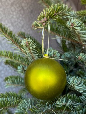 Bir ağaç dalından sarkan yeşil bir süs. Dalın bir sürü iğnesi var. Sahne gösteriyor ki bayram sezonu ve süs süslemelerin bir parçası..