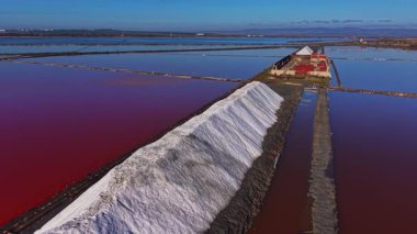 İşçiler, gündüz saatlerinde mavi gökyüzünün altında kırmızı suyla dolu havuzların yanında büyük tuz yığınlarının durduğu bir üretim alanında tuz topluyor..
