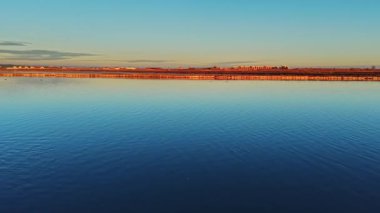 Gün batımında suyun kenarında bir flamingo duruyor. Güneş batarken gökyüzü renkleri gösterir. Su çevreyi yansıtır ve güzel bir sahne yaratır..