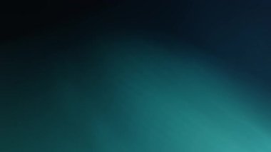 Kara Arkaplanda Işık Işıkları Kaplaması