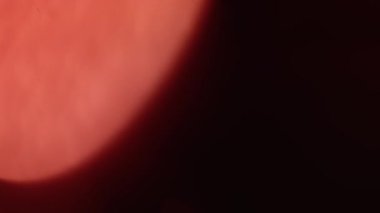 Doğal ışıklandırma lambası etkisi