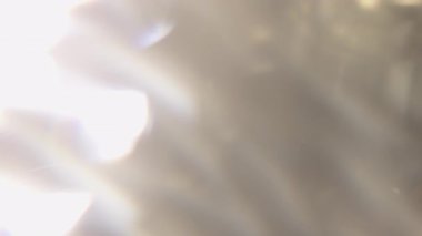 Çekimleriniz üzerinde birleştirme, videoyu biçimlendirme, geçişler