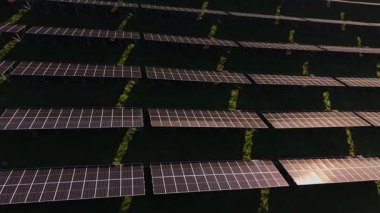 Güneş panelleri geniş bir açık alana yerleştirilmiştir. Paneller gün boyunca enerji üretmek için güneş ışığını topluyor. Alanı çevreleyen yeşil bitkiler manzaraya ekleniyor..