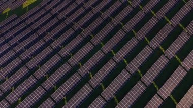 Güneş panelleri geniş bir alana yayılmış durumda. Her panel enerji üretmek için güneş ışığını yakalar. Bu sahne yeşil peyzajlı düzgün çizgiler halinde dizilmiş panelleri gösteriyor..