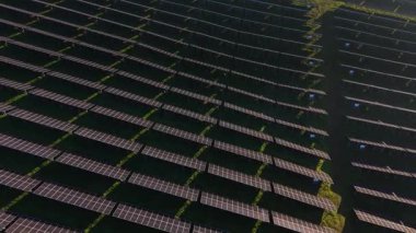 Güneş panelleri geniş bir alanda sıra sıra dizilir. Paneller enerji üretmek için güneş ışığını yakalıyor. Bu düzenek kırsal bir yerde gündüz saatlerinde bulunur..