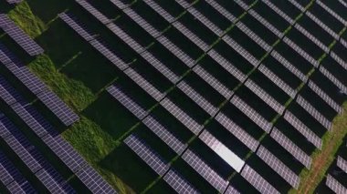 Güneş panelleri geniş bir alan boyunca düzenli olarak yerleştirilmiştir. Güneş ışığı yüzeylerinden yansıyarak panellerin arasında yeşil bir manzarayı gösterir..