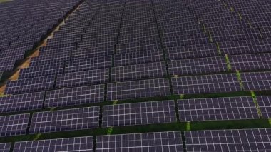 Güneş panelleri geniş bir alana yayılarak güneşten enerji topluyor. Kurulum, gün ortasında güneş ışığını maksimuma çıkarmak için konumlanmış birçok panel satırını gösterir.