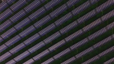 Güneş panelleri yere sıra sıra dizilmiştir. Bu paneller gün boyunca enerji için güneş ışığını toplarlar. Kurulum birden fazla panelin birlikte çalıştığı geniş bir alanı gösteriyor..