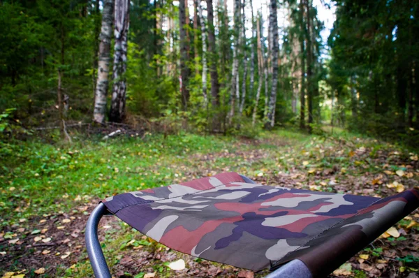 Ormandaki katlanır sandalye