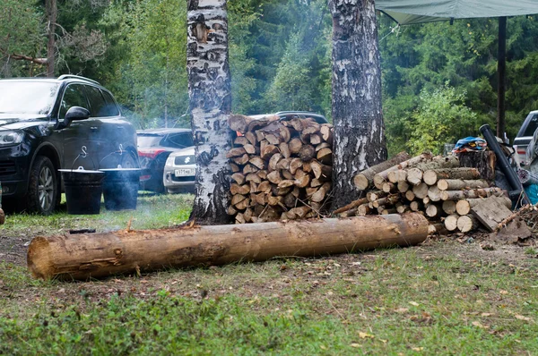 Firewood na floresta — Fotografia de Stock