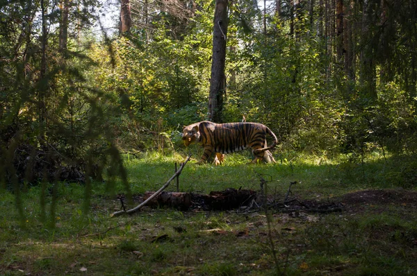 Okçuluk için hedef kaplan