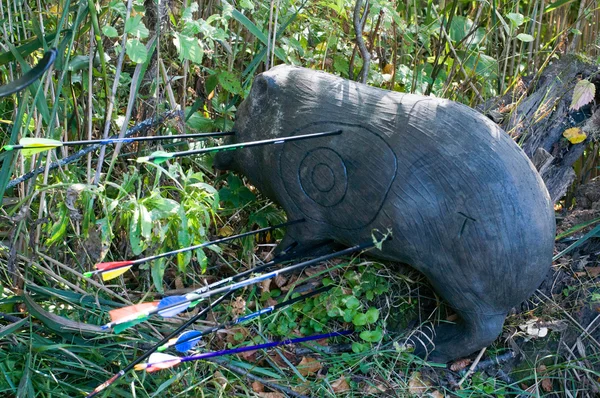 Yaban domuzu şekil hedef