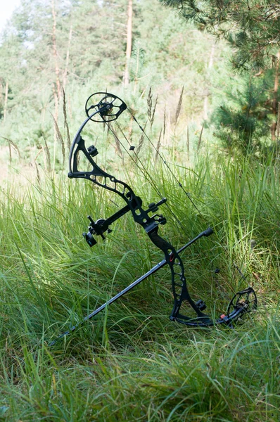 Bileşik yay çimenlerin üzerinde