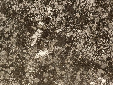 Grunge Detaylı Gerçekçi Sert Beton Döküm Arkaplanı. Doğal sert yüzeyi ve ince grunge detaylarıyla yüksek çözünürlüklü beton duvar dokusu. İdeal arka planlar, tasarım örtüleri.