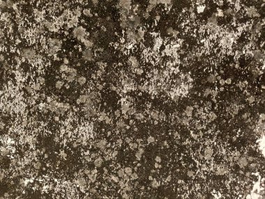 Grunge Detaylı Gerçekçi Sert Beton Döküm Arkaplanı. Doğal sert yüzeyi ve ince grunge detaylarıyla yüksek çözünürlüklü beton duvar dokusu. İdeal arka planlar, tasarım örtüleri.