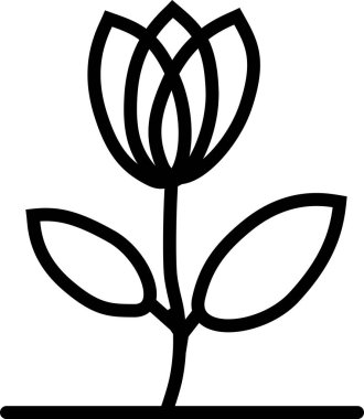 Siyah çizgili lale çiçeği beyaz arka planda sergilenir. Çiçeğin iki yapraklı basit bir tasarımı var..