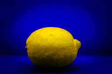 Parlak sarı bir limon, yuvarlak biçimini ve dokulu yüzeyini sergileyen koyu mavi bir zemin üzerinde duruyor. Renk kontrastı sahneye derinlik ve enerji katar.