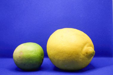Parlak yeşil bir kireç ve büyük sarı bir limon, benzersiz şekillerini ve dokularını ön plana çıkararak birbirlerine yakın dururlar. Canlı mavi arka plan tazeliklerini ve cazibelerini arttırıyor..