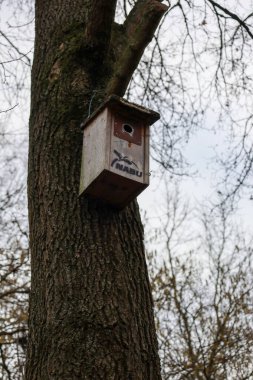 Sağlam bir ağaç gövdesinden sarkan kırsal bir kuş evi çeşitli kuşlara rahat bir yuva sunuyor. Çevresindeki orman durgun, gri gökyüzüne karşı çıplak dallar sergiliyor..