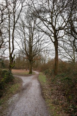 Notlar parlak yeşil bir arkaplanda güzel bir şekilde sergileniyor, karmaşık detaylarını ve canlı renklerini vurguluyorlar.