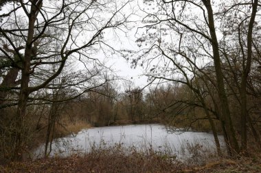 Sakin bir kış manzarası, sessiz renklerle çevrili durgun bir göletin ana hatlarını çizerken gözler önüne seriliyor. Yumuşak ışık, sakin bir atmosfer yaratır ve sessiz bir yansıma yaratır..