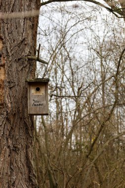 Büyüleyici bir ahşap kuş evi, eski bir ağacın kabuğuna tutunur, çıplak dalların ve yumuşak gri gökyüzünün zeminine kurulur..
