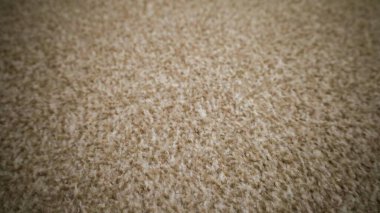 Beautiful beige carpet fills the floor, exuding warmth and comfort. Sunlight gently spills across the soft surface, creating a serene atmosphere in this inviting space.