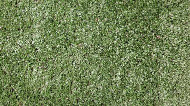 Canlı yeşil yapay çimenler, canlı ve davetkar bir atmosferi somutlaştırarak sahnenin her tarafına yayılır. Yumuşak doku ve parlak renk açık hava aktiviteleri veya boş zaman için mükemmel bir ortam oluşturur.