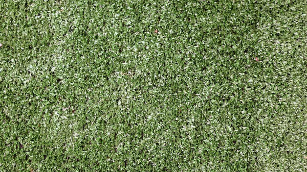 Canlı yeşil yapay çimenler, canlı ve davetkar bir atmosferi somutlaştırarak sahnenin her tarafına yayılır. Yumuşak doku ve parlak renk açık hava aktiviteleri veya boş zaman için mükemmel bir ortam oluşturur.