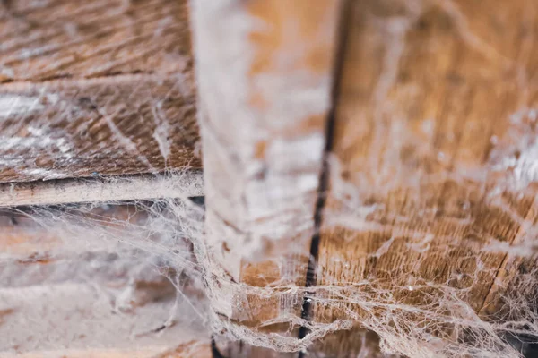 Sessiz, unutulmuş bir yerde, narin örümcek ağları zarif bir şekilde yıpranmış ahşap kirişlerin üzerine örtünüyor. Toz, yumuşak ışıkta dans eder. Nostalji ve devam eden yaratılış hissini uyandırır..