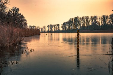 Sarı su seviyesi ölçüsü, altın bir günbatımında sazlıklar ve çıplak ağaçlarla çevrili kısmen donmuş bir gölde duruyor..