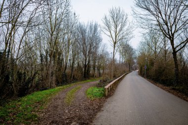 Asfalt bir yol ve çamurlu toprak bir patika, bulutlu bir gökyüzünün altında çıplak kış ağaçlarıyla çevrili. Bu sahne bir seçim duygusunu ve soğuk ayların sessiz güzelliğini çağrıştırıyor..