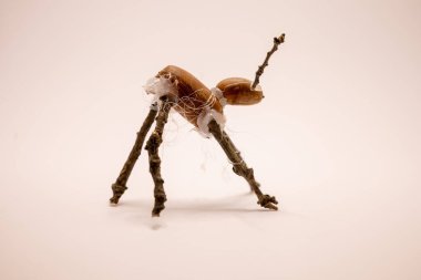 Bir sanatçı meşe palamudu, dal ve yapıştırıcı kullanarak neşeli bir heykeldeki doğal elementleri sergileyen tuhaf bir yaratık yarattı..