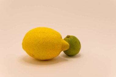 Büyük sarı bir limon ve küçük yeşil bir kireç yan yana durarak turunçgillerin canlı kontrastını gözler önüne seriyor..