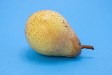 Kahverengi benekli tek, olgun bir armut canlı mavi bir arka planda duruyor, doğal güzelliğini sergiliyor..